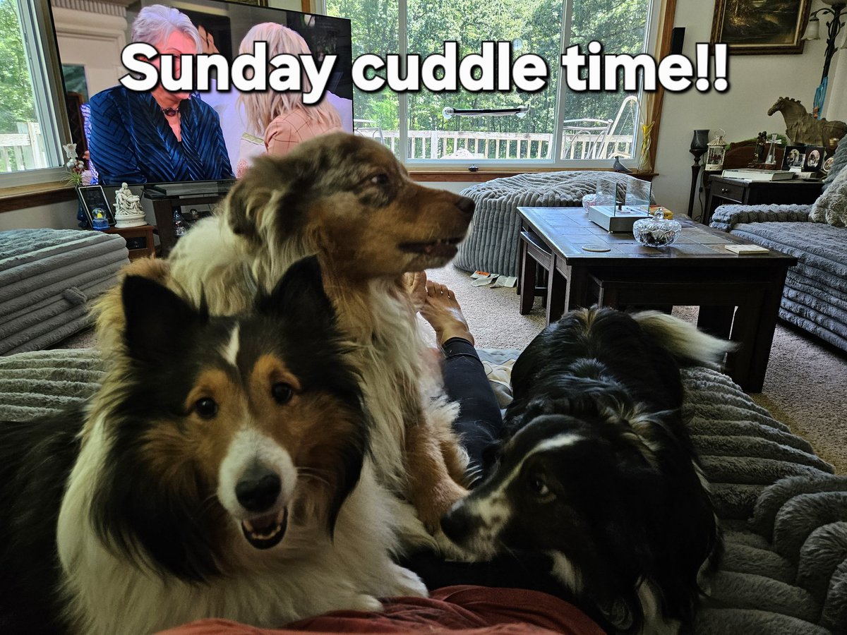 LVerhoff's tweet image. 