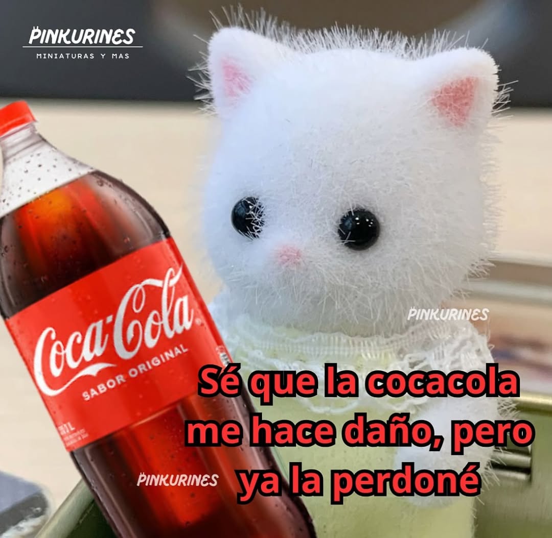 MiniAnimales's tweet photo. https://t.co/0iPpTzka4L