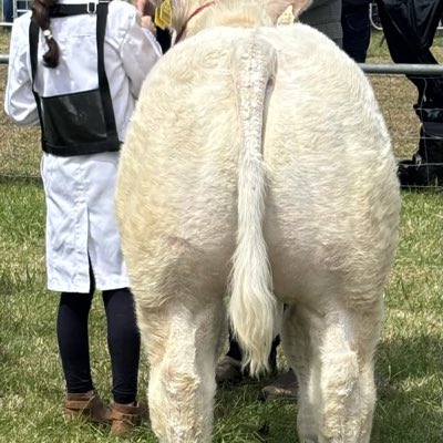 HillTopFarm5's tweet photo. #NewProfilePic https://t.co/BVborXQJ25