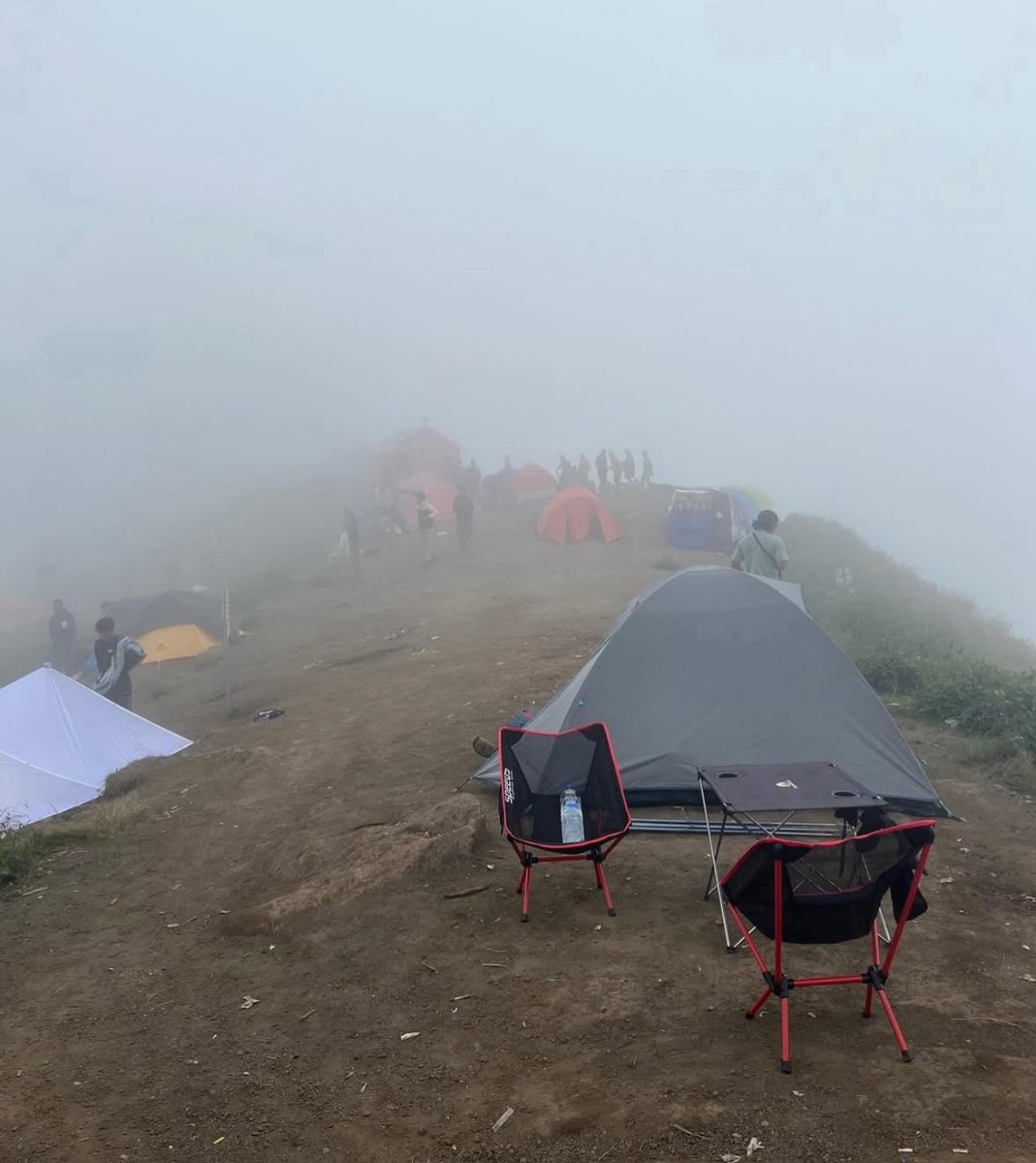 Aline Oliveira tweet media