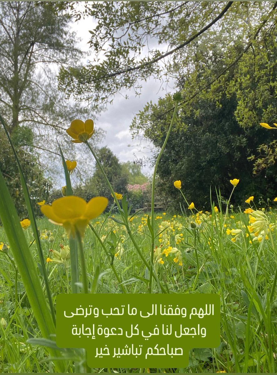 📒✒️{ … وَنَكْتُبُ مَا قَدَّمُوا وَآثَارَهُم}.
كلّ آثارك مكتوبة .. آثار خطواتك للخير؛ صدى كلماتكِ في النفوس؛ أثر بسماتك على القلوب؛ بذور أفكارك الّتي أزهرت هنا وهناك؛ كلّ ما أنت سببٌ فيه في حياتك وبعد موتك.
*فلا تحقرن من المعروف شيئا مهما صغر!*
🌤️صباح_صنائع_المعروف❤️