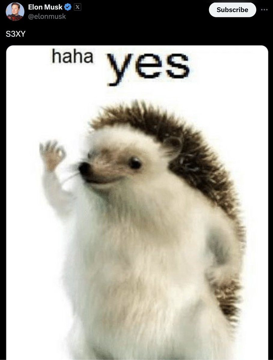 CarlCommunity's tweet image. I'm the prettiest thing about Elon. $Carl