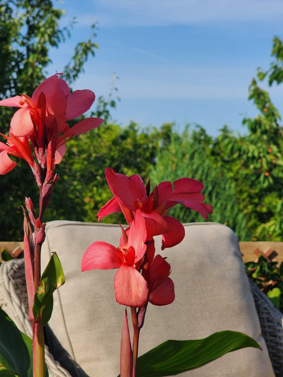 Brian cornect (@modernclassic99) on Twitter photo 