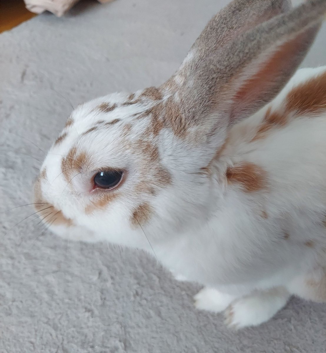 くた君おはよう☀️