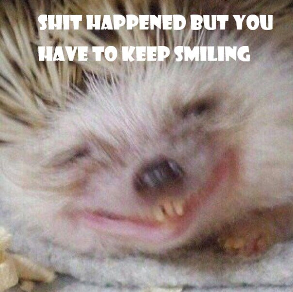 Carl The Hedgehog tweet media