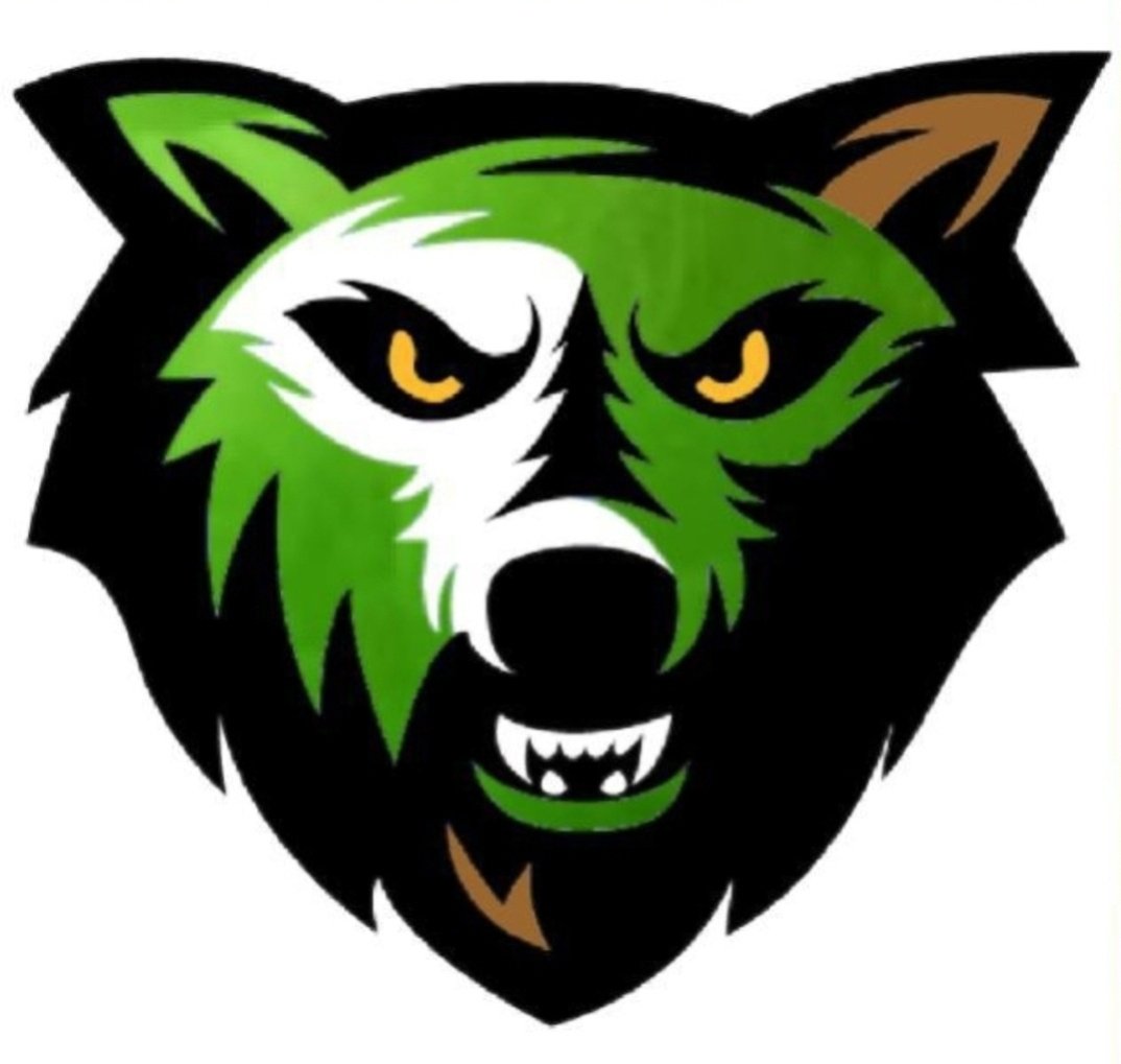 ThePack561's tweet photo. Awesome weekend of basketball for Wolfpack Genesis, Congratulations to coach marioa Going 3-2 During competitive play the last two days and finishing this weekend's tournament second place runner up.. 

17u &amp; 19u Will Head South Next Weekend To Miami for our Next Tournament !! https://t.co/hco8h9qsFx
