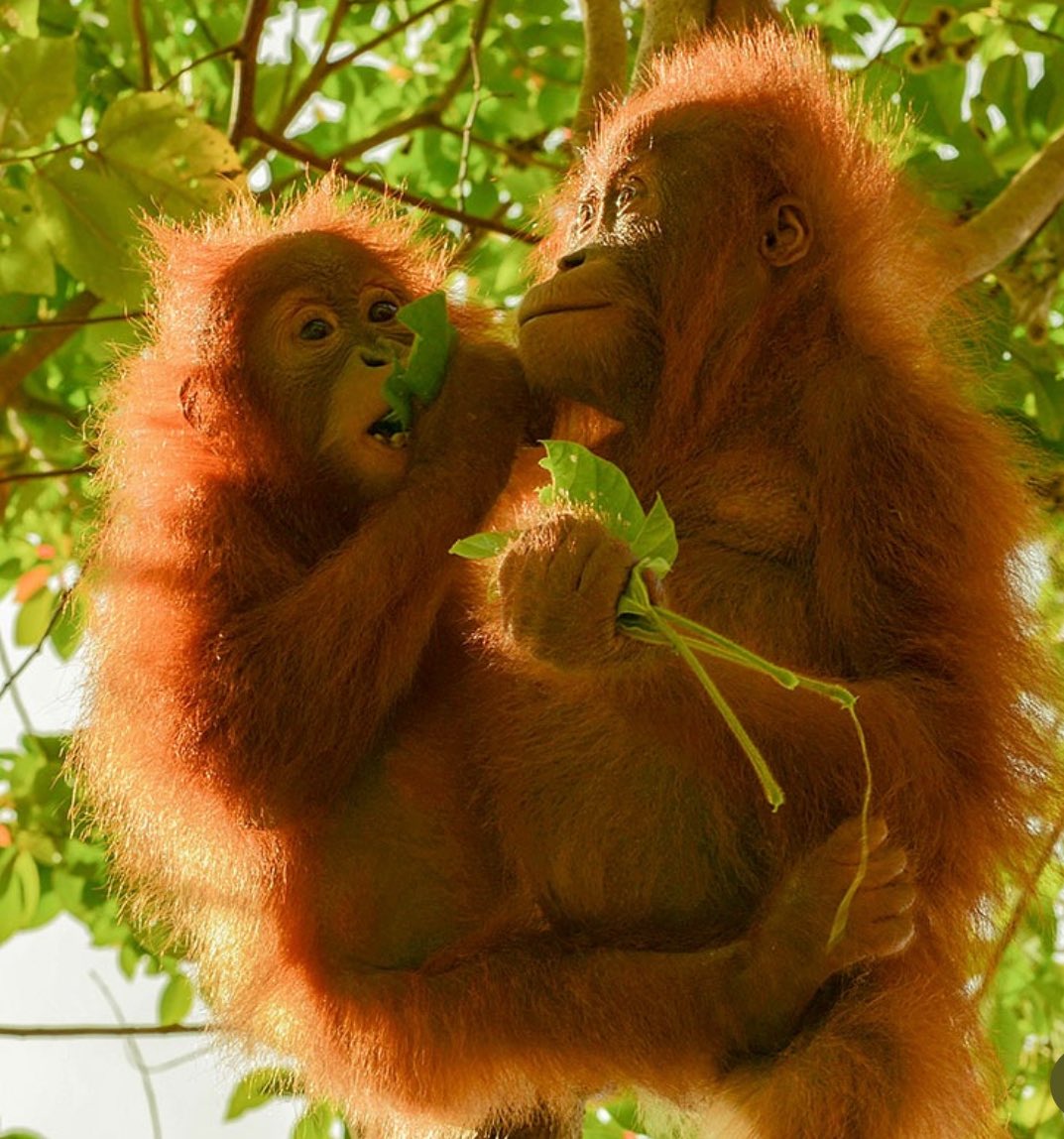 eedin salid wit my bro kyel 
🥗