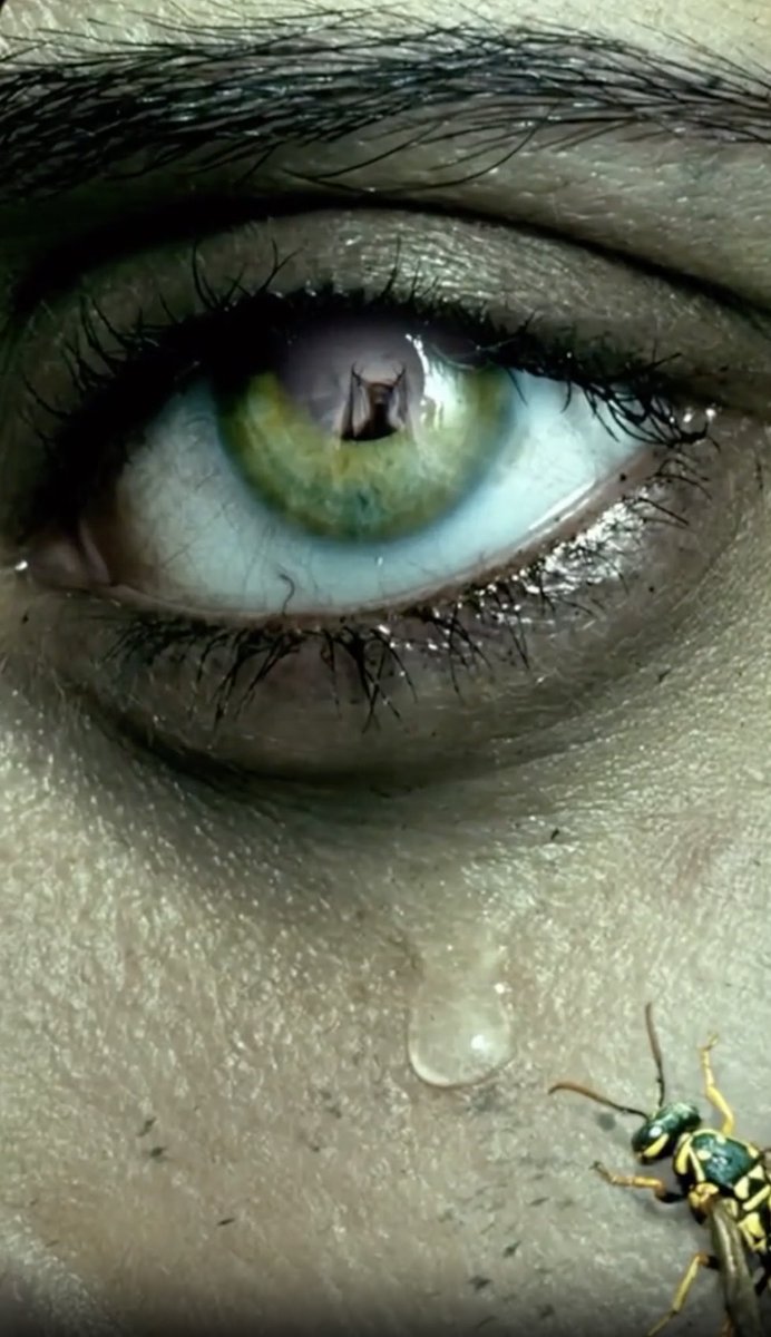 sh4utism's tweet photo. these shots are so fucking cool omg https://t.co/cq8KCPf4Xz