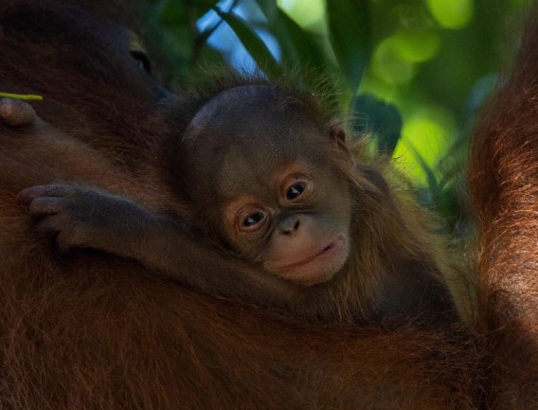 nobody care me … essept mama