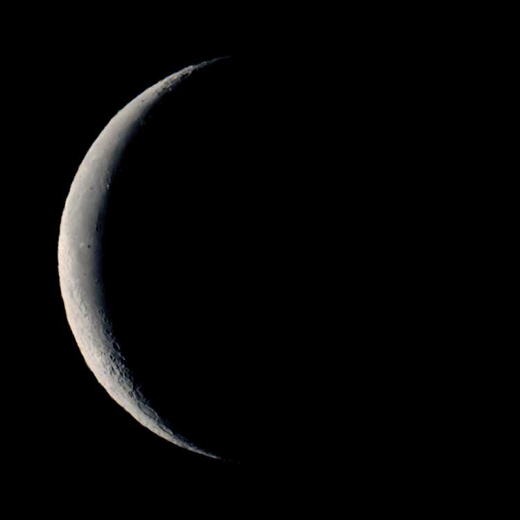 My Moon Phase tweet media