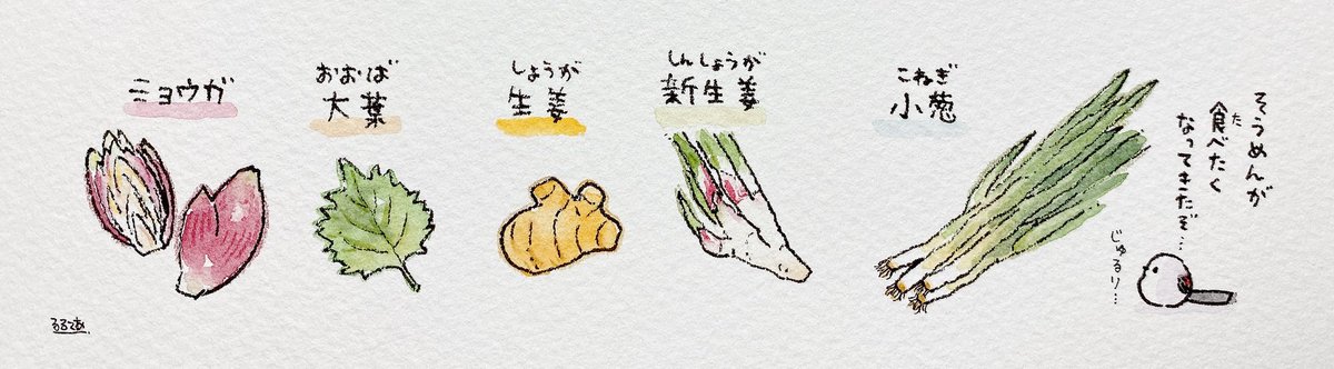 薬味の爽やかな香り…！ （2020年5月掲載）