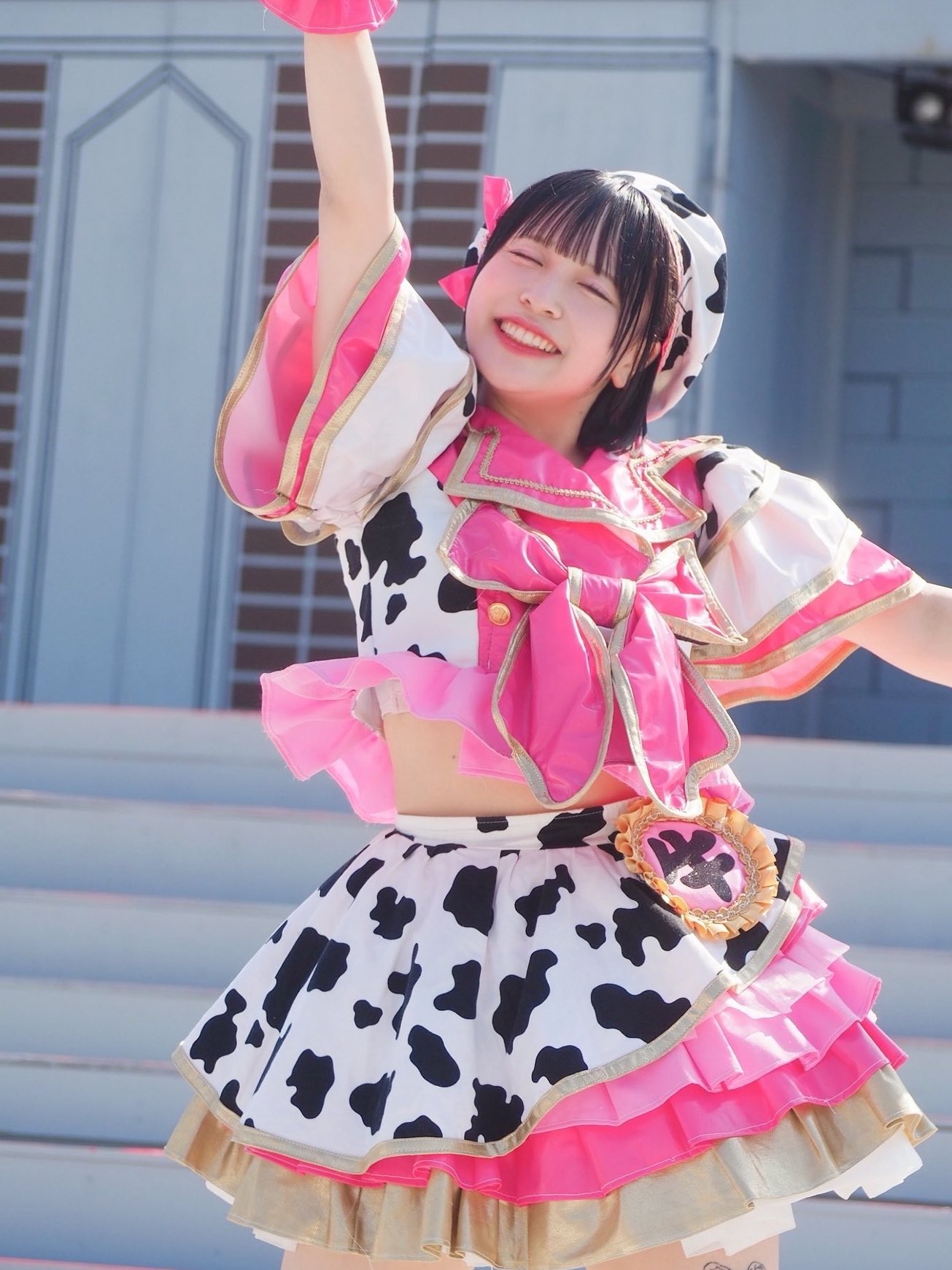 めーとる 踊り手 チェキ新 発売