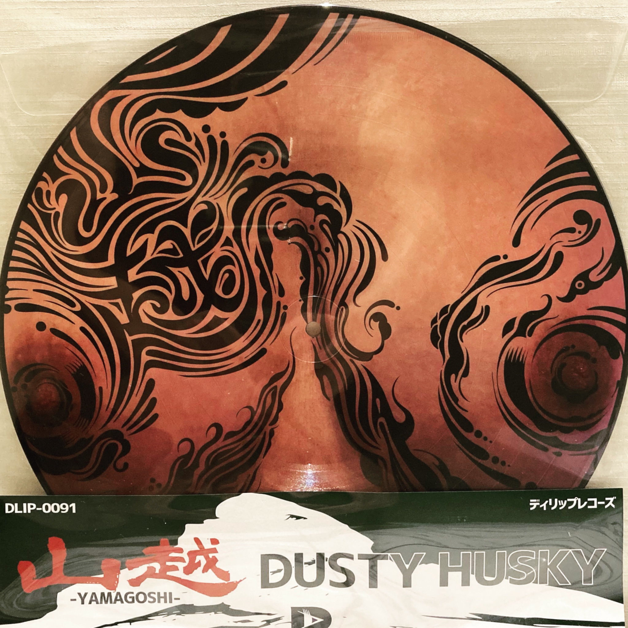 山越 DUSTY HUSKY DLIP-0091 DLiP RECORDS (Dish Label iN Posshi) on X: 