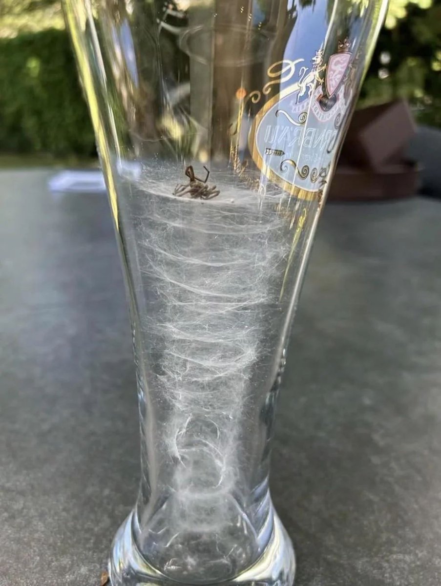 Nature is Amazing ☘️ tweet media