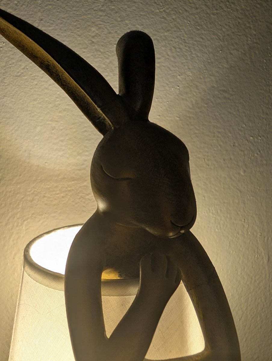 Everyone look at my lamp