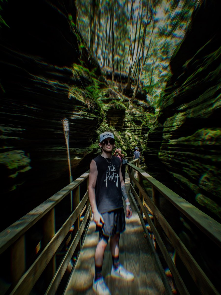 TrillForest (@trillforest) on Twitter photo 