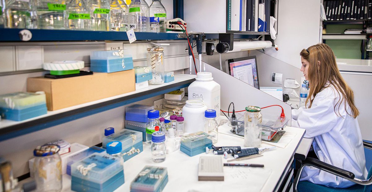 Ricardo Cuevas (@rcuevasclm) on Twitter photo 🚨 El Gobierno de CLM convoca nuevas ayudas para contratos POSTDOC.
📅 Del 24 de junio al 21 de julio
💶 1,8 M€
🧪 Contratos de 3 años
Gracias <a href="/gobjccm/">Gobierno de Castilla-La Mancha</a> por seguir apostando por la ciencia. Oportunidad clave para la <a href="/uclm_es/">Universidad de Castilla-La Mancha</a>
🔗 DOCM: docm.jccm.es/docm/descargar… 🚨 El Gobierno de CLM convoca nuevas ayudas para contratos POSTDOC.
📅 Del 24 de junio al 21 de julio
💶 1,8 M€
🧪 Contratos de 3 años
Gracias <a href="/gobjccm/">Gobierno de Castilla-La Mancha</a> por seguir apostando por la ciencia. Oportunidad clave para la <a href="/uclm_es/">Universidad de Castilla-La Mancha</a>
🔗 DOCM: docm.jccm.es/docm/descargar…