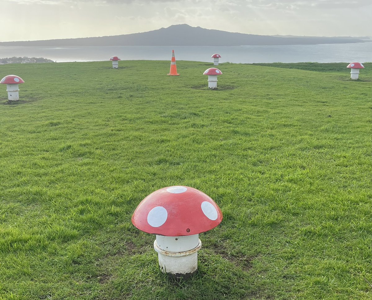 🎶 One of these things is not like the others 🎶