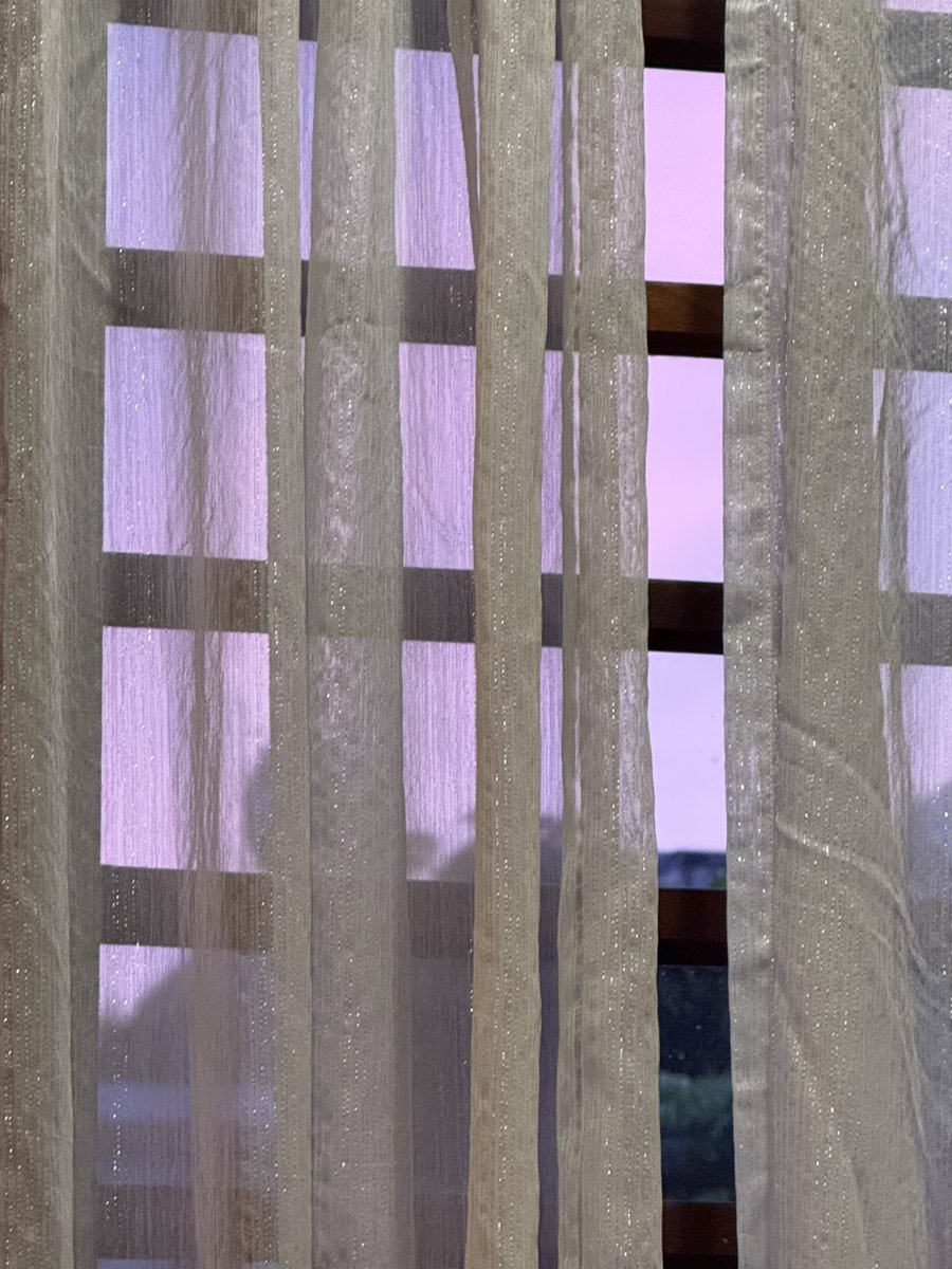 wab 🐦‍⬛ tweet media