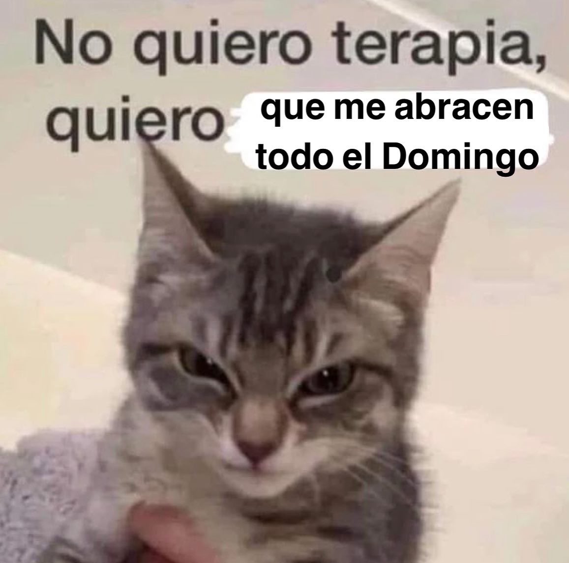 Re_Villarreal's tweet photo. https://t.co/ud4AKqK780