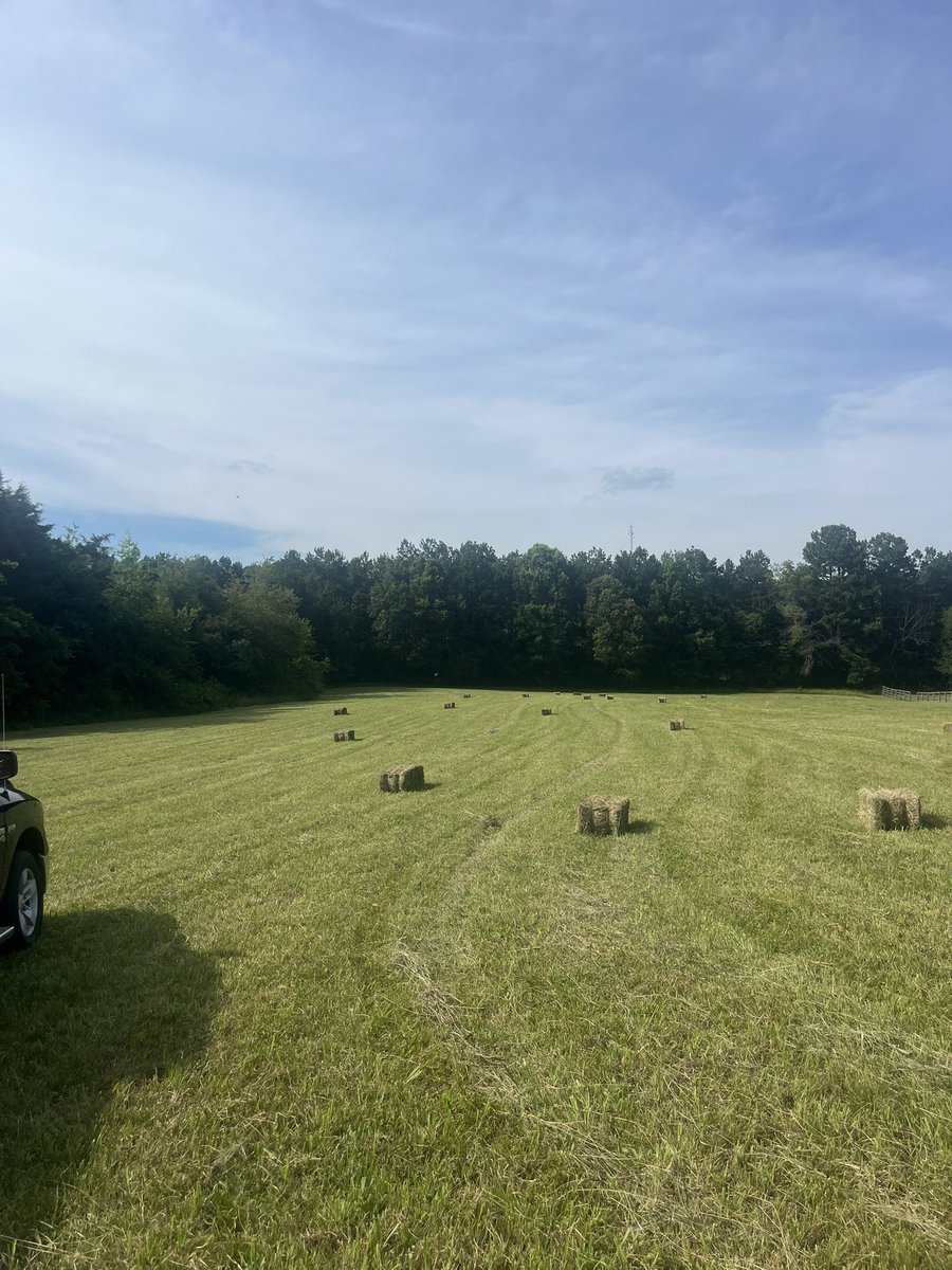cloverdale2013's tweet image. 90 plus degrees, square bales of hay, & a barn are the best ways to spend an afternoon! 😀