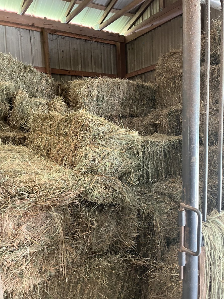 cloverdale2013's tweet image. 90 plus degrees, square bales of hay, & a barn are the best ways to spend an afternoon! 😀