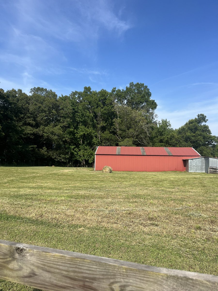 cloverdale2013's tweet image. 90 plus degrees, square bales of hay, & a barn are the best ways to spend an afternoon! 😀