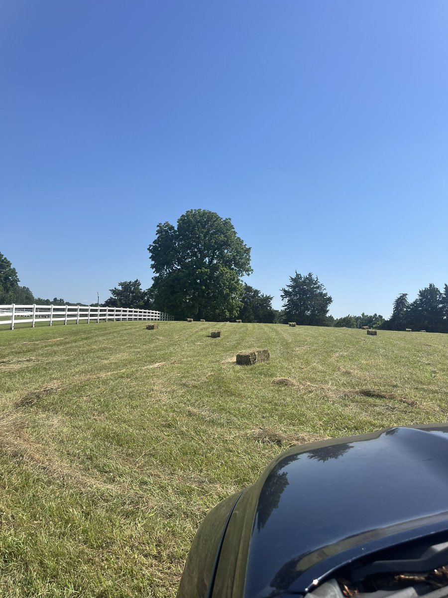 cloverdale2013's tweet image. 90 plus degrees, square bales of hay, & a barn are the best ways to spend an afternoon! 😀