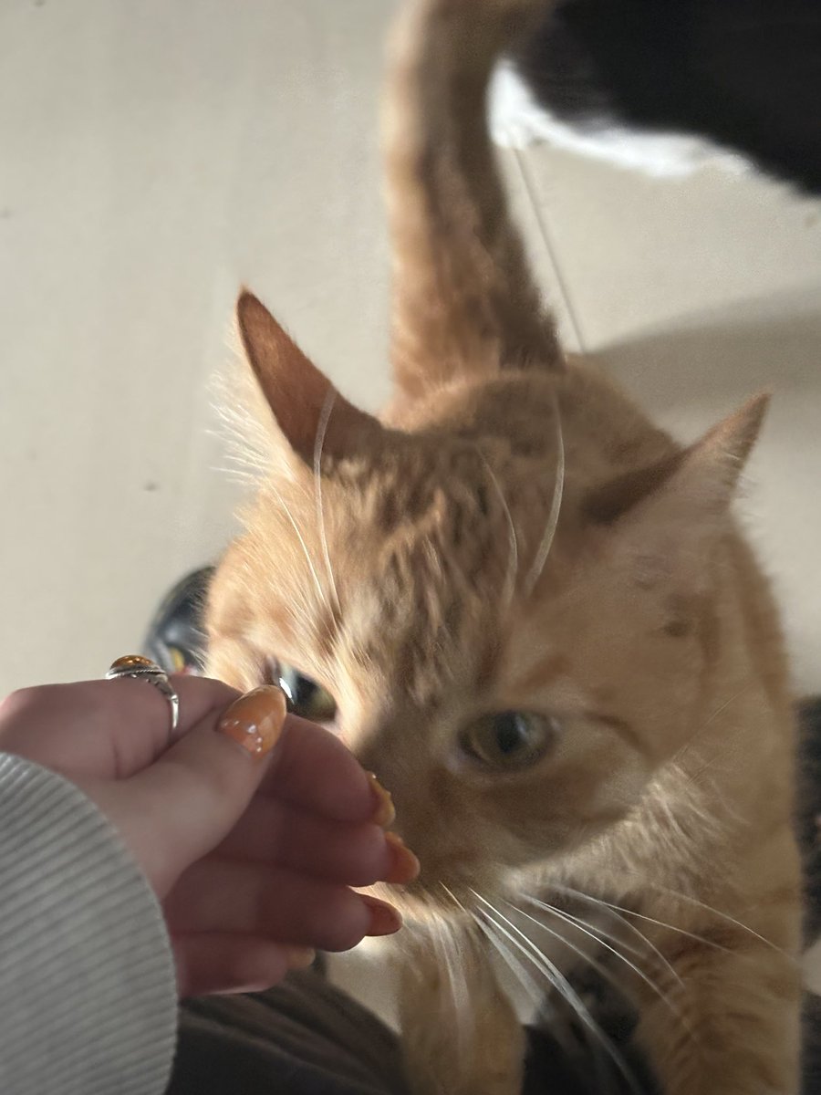 blonc ౨ৎ tweet media