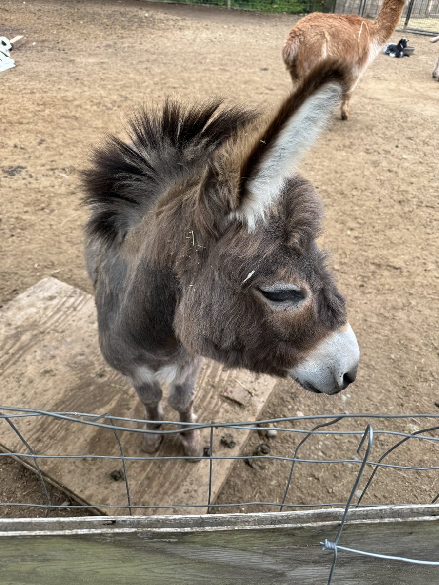 some babies💕💕💕💕