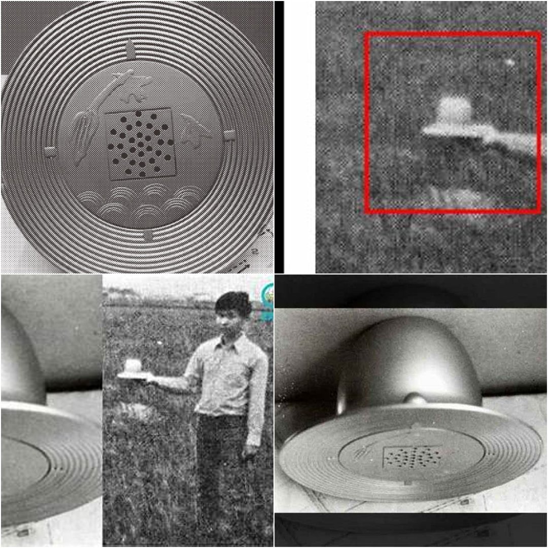 In 1972, five boys in the rice fields of Kera, Japan didn’t just see a UFO, they actually captured one. The craft was the size of a hat, about 6 inches wide, buzzing, glowing, and actively resisting containment. The kids chased it, photographed it, and even held it in their