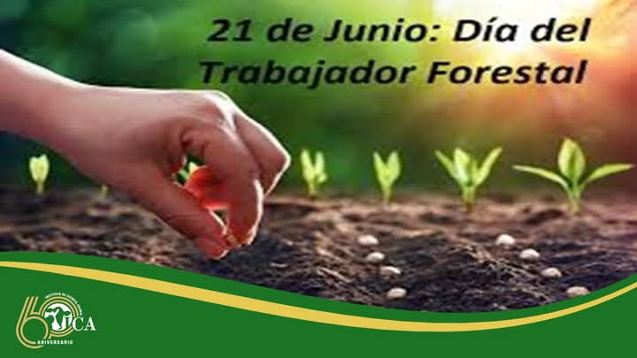 El Instituto de Ciencia Animal felicita a los trabajadores del sector forestal en su día.
#Cuba #ICACuba #TrabajadorForestal