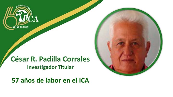 JORNADA ANIVERSARIO 60 DEL INSTITUTO DE CIENCIA ANIMAL
En el año del Aniversario 60 del ICA, les invitamos a conocer a trabajadores que han dedicado gran parte de su vida a laborar en nuestro centro.
#Cuba #ICACuba #ICA60Años