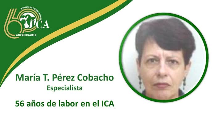 JORNADA ANIVERSARIO 60 DEL INSTITUTO DE CIENCIA ANIMAL
En el año del Aniversario 60 del ICA, les invitamos a conocer a trabajadores que han dedicado gran parte de su vida a laborar en nuestro centro y aún continúan aportando.
#Cuba #ICACuba #ICA60Años