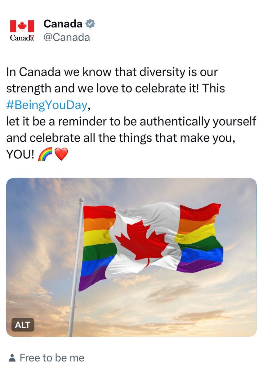 The United States would never change the colours of their flag to support a special interest group made up of extremists, pedophiles, and untreated mental illness. 

You wonder why there’s a historical growing movement against Canada BY Canadians? This. 

If you fought in the