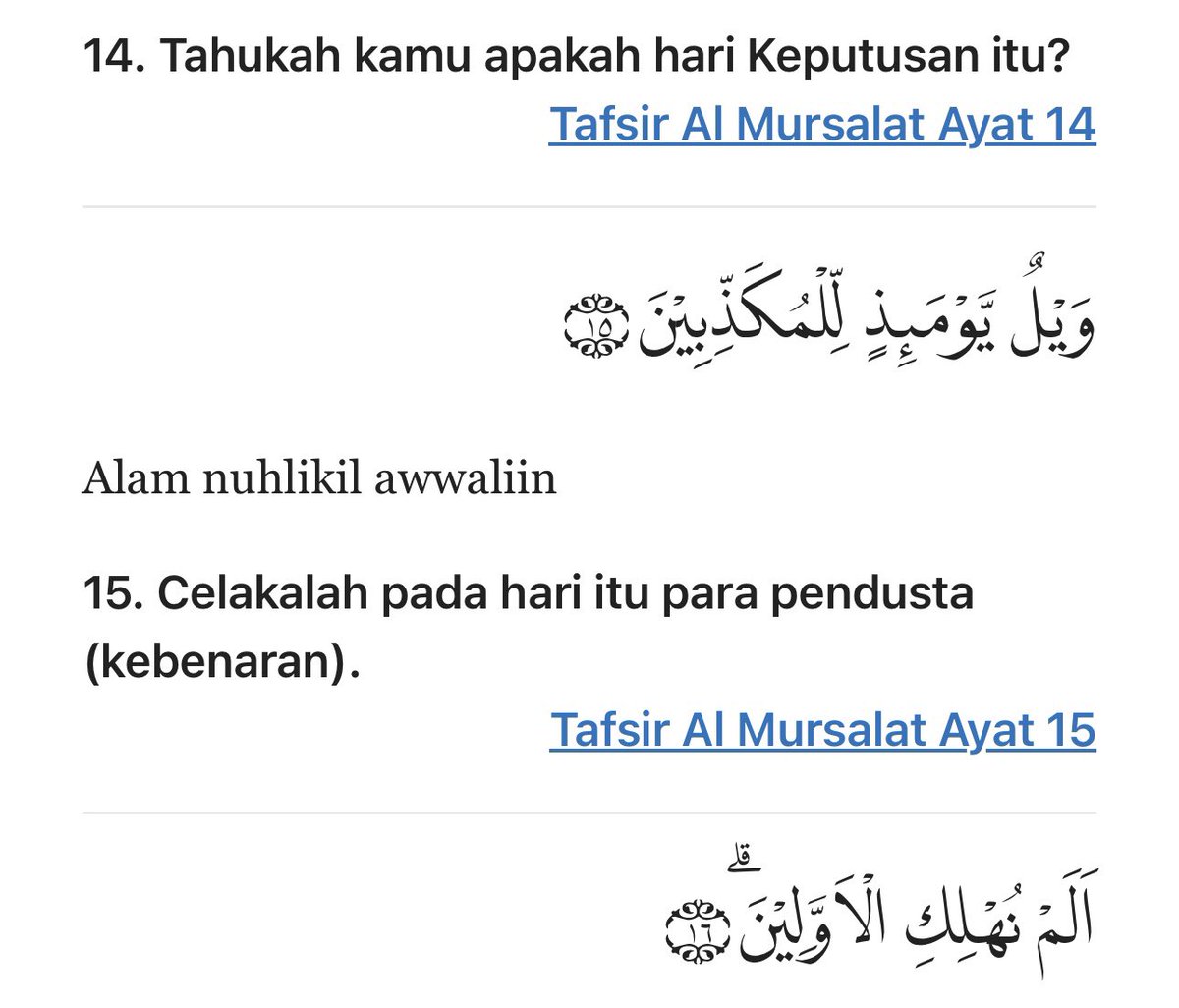 Muhammad Said Didu tweet media