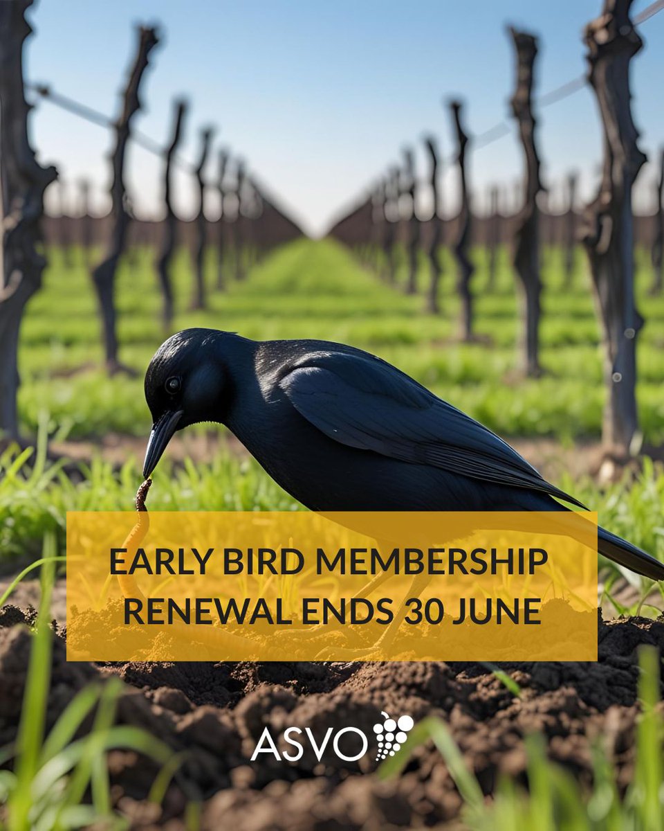 Existing ASVO Members: check your email for the early bird renewal code to save 10% off your 2025/56 membership if you renew before 30 June. Do it now!