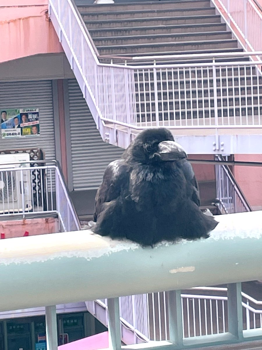 全然怖がってなくてかわいかった😆