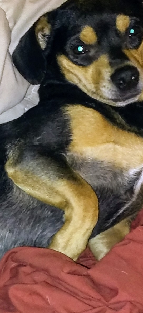 Tracydiosyncratic❄🌈🌊 tweet media