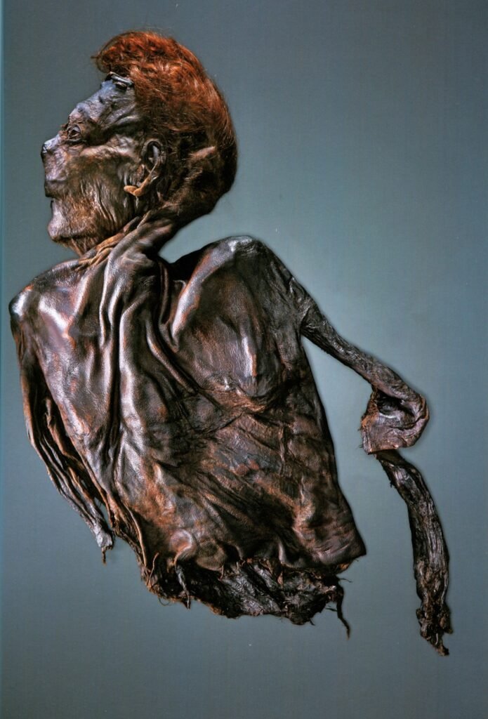 ObscureHistory5's tweet photo. @fasc1nate Oldcroghan was found,in Offaly, Ireland. The remains had the distinguishing traits of being 6’6ft tall as well as neatly manicured nails. He was found to have been brutally murdered which was deducted from his lack of head &amp; lower body https://t.co/V9wXBX5dZk