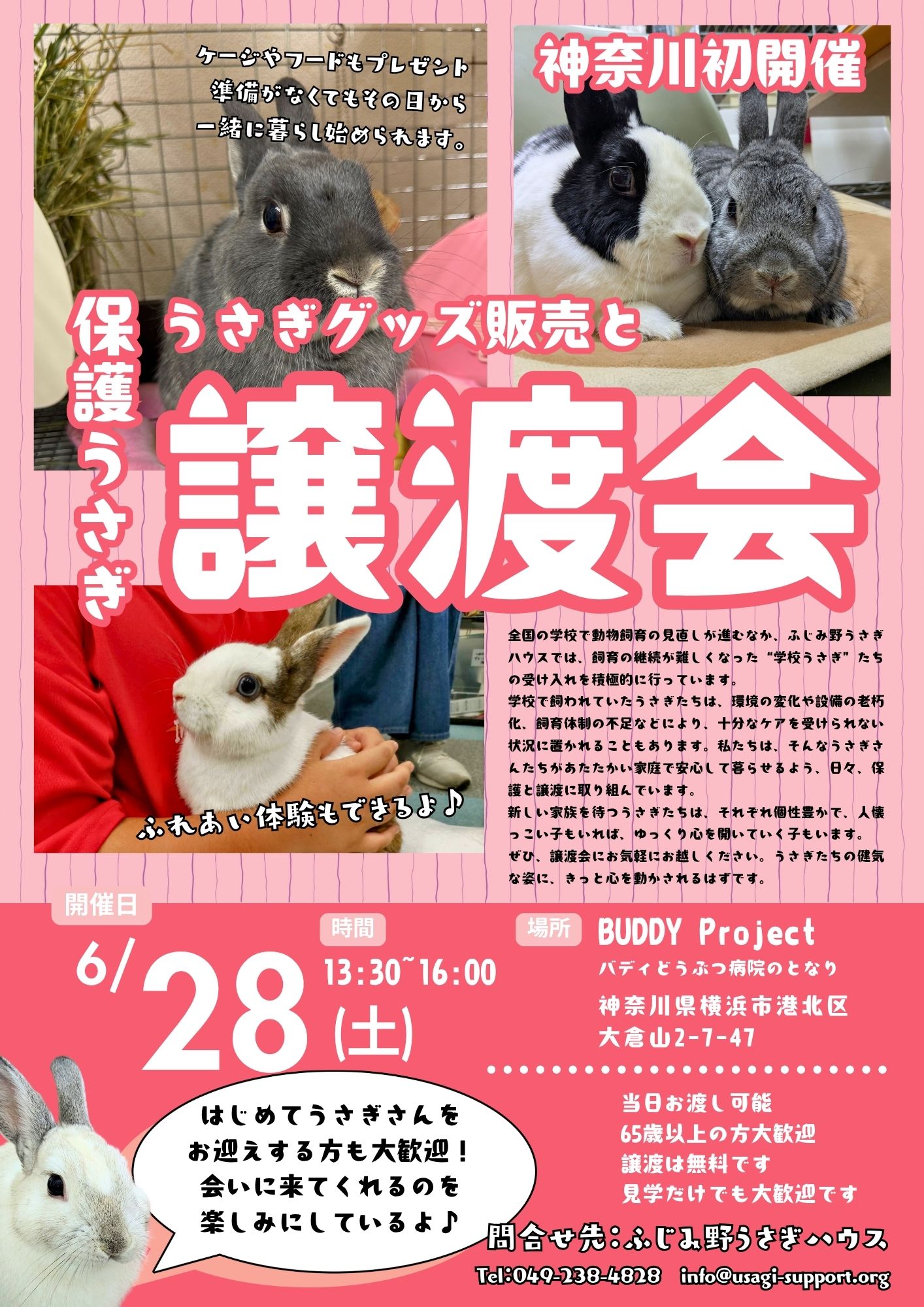 うさぎとひとの幸せを支える会🐰🐰@ペットショップではなく保護