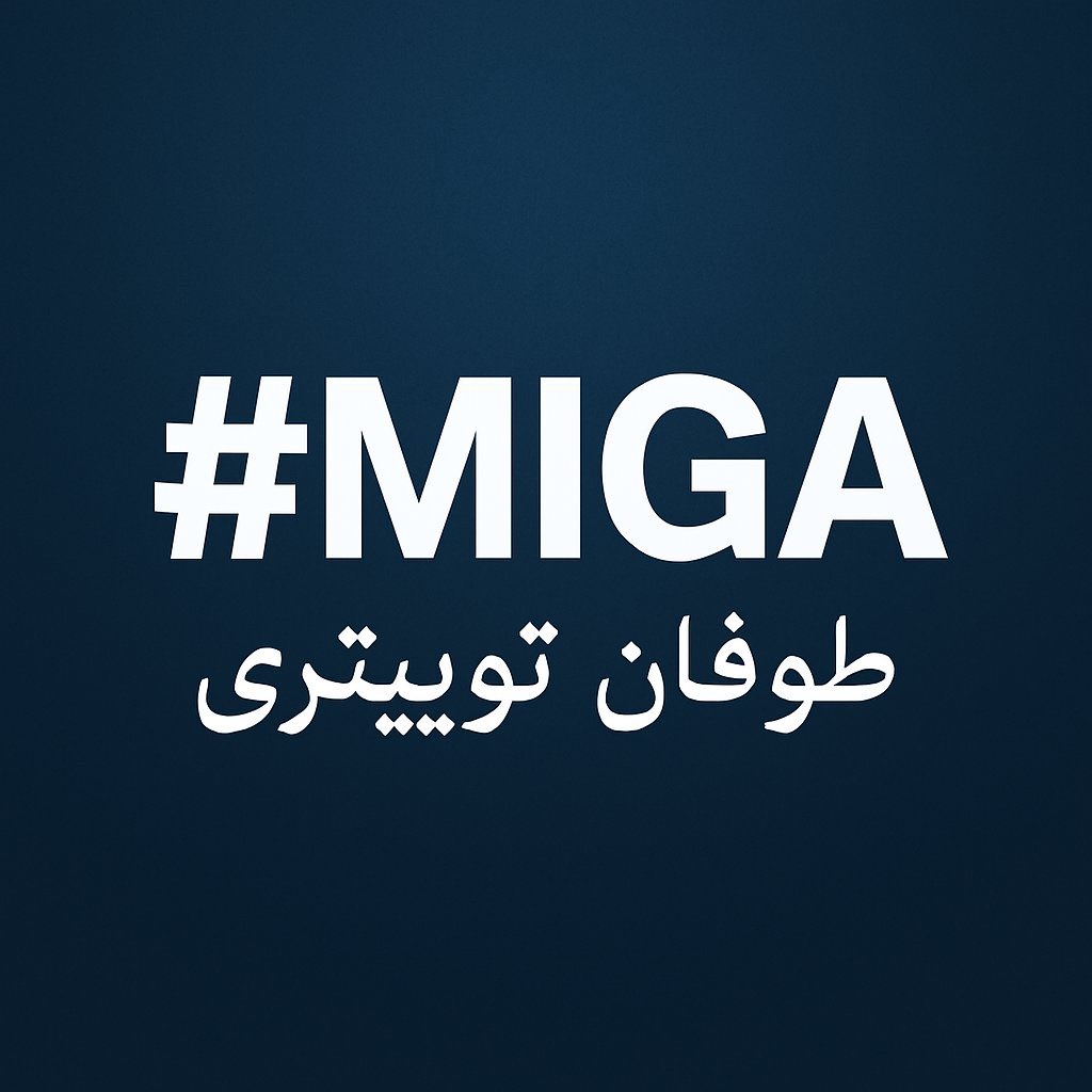Soheyla tweet media