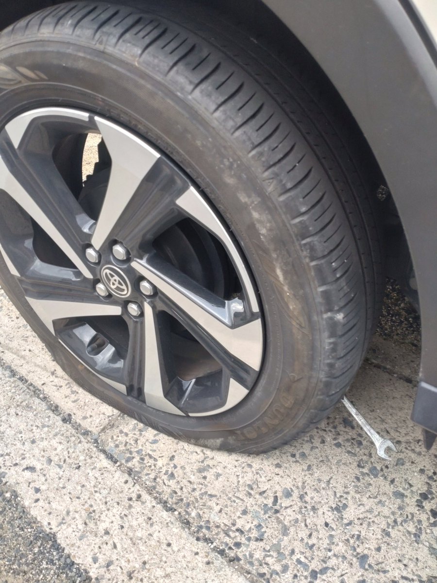 だってタエ (@DTaechan) / Posts / X