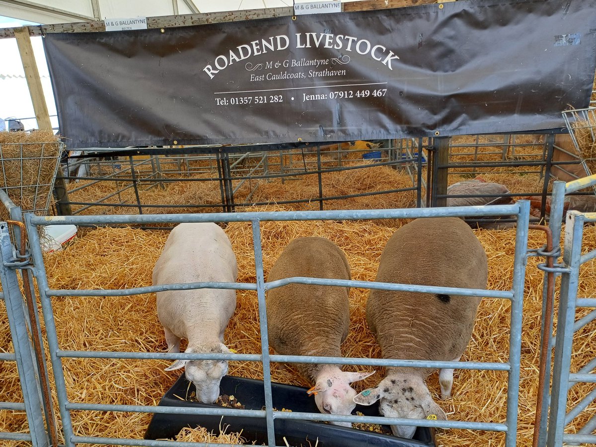 Ready to Rock N Roll 🤘 for RHASS 2025

Enjoy Folks 🍻