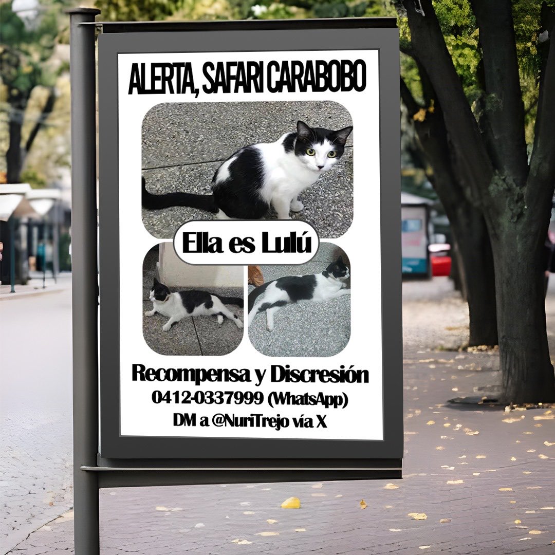 #22Jun Safari #Carabobo, el llamado de #Ayuda es para ti. #SeBusca a #LuluSomosTodos. Difunde para que llegue a quién tiene que llegar. Contactos: 04120337999 (WhatsApp) en X por DM <a href="/NuriTrejo/">Nutrecajo</a>. #LuluEsElMilagro. #Seguimos