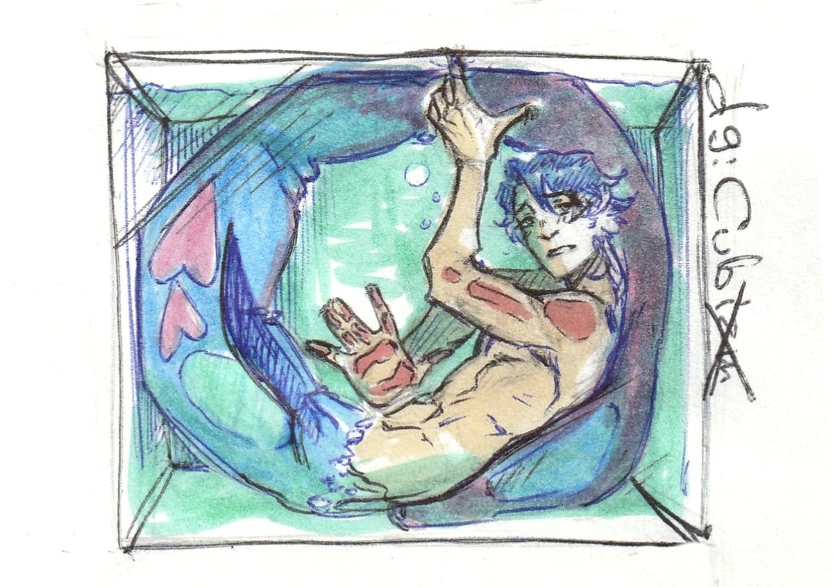 🫧🧊
#mermay #hsr #sampo