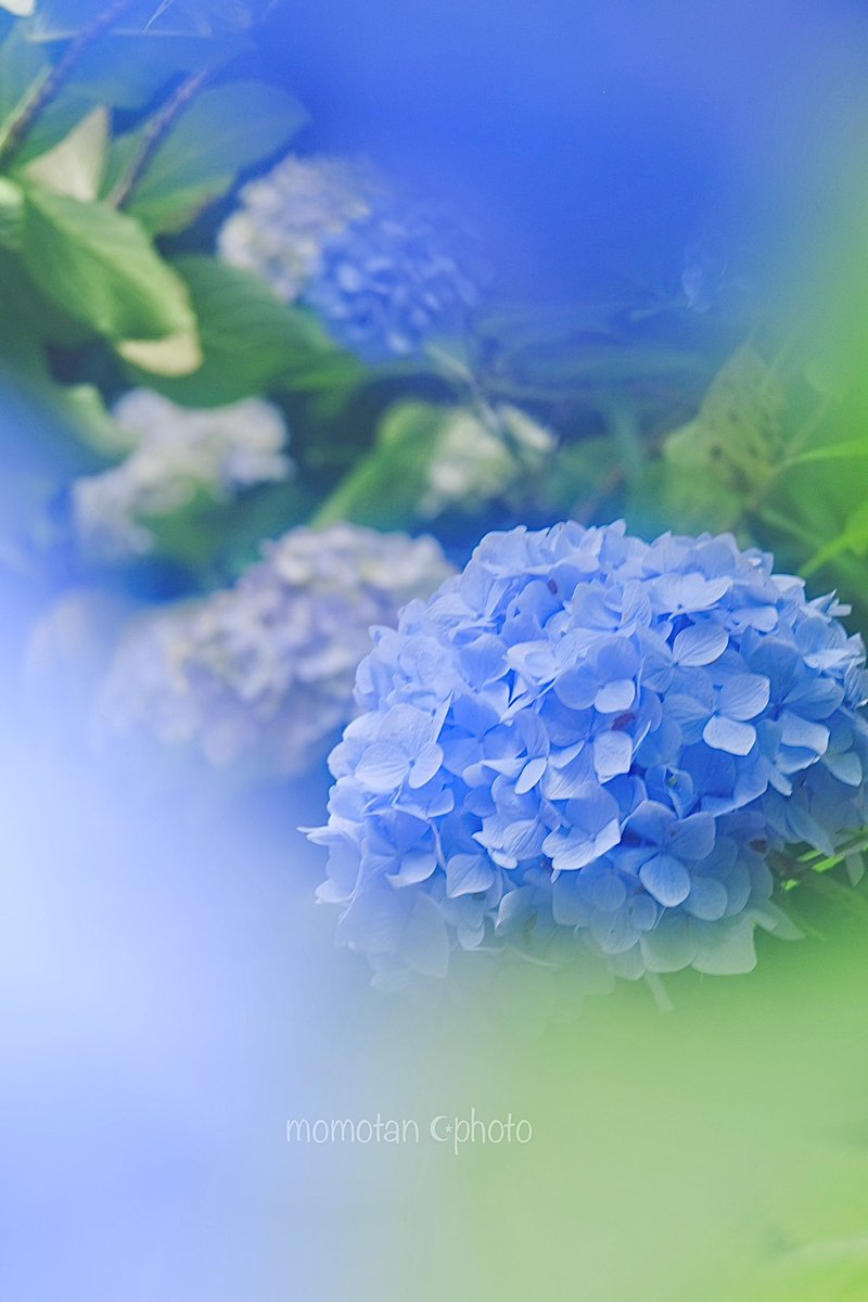 Mosora317's tweet image. ษขเฅฆแตแ สแตสณแขโฑแขแต.*โฟ๏ฝฅ
ไป้ฑใใใใใ
ใใใ้กใใใพใโกยจฬฎ