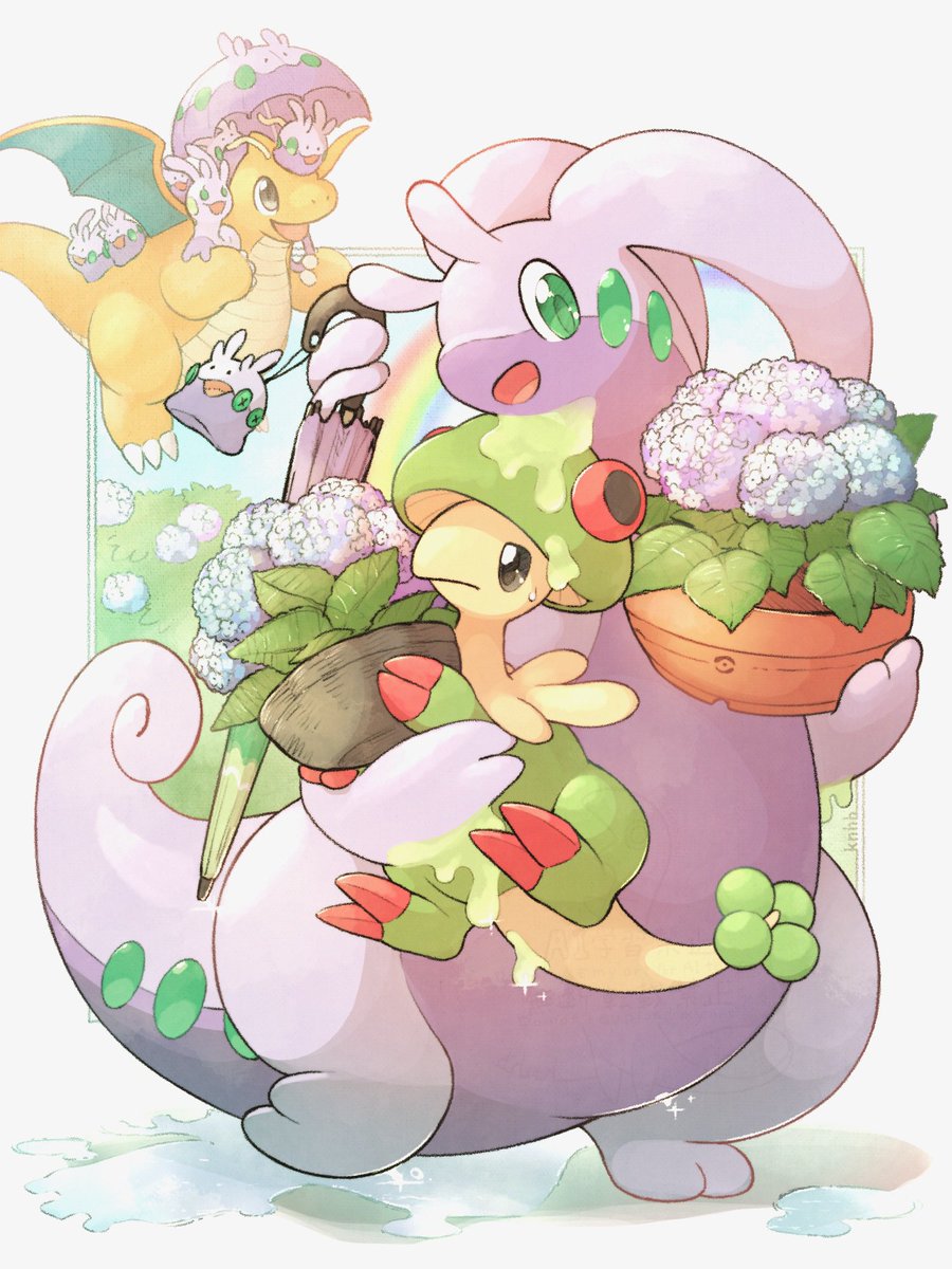 紫陽花の季節！