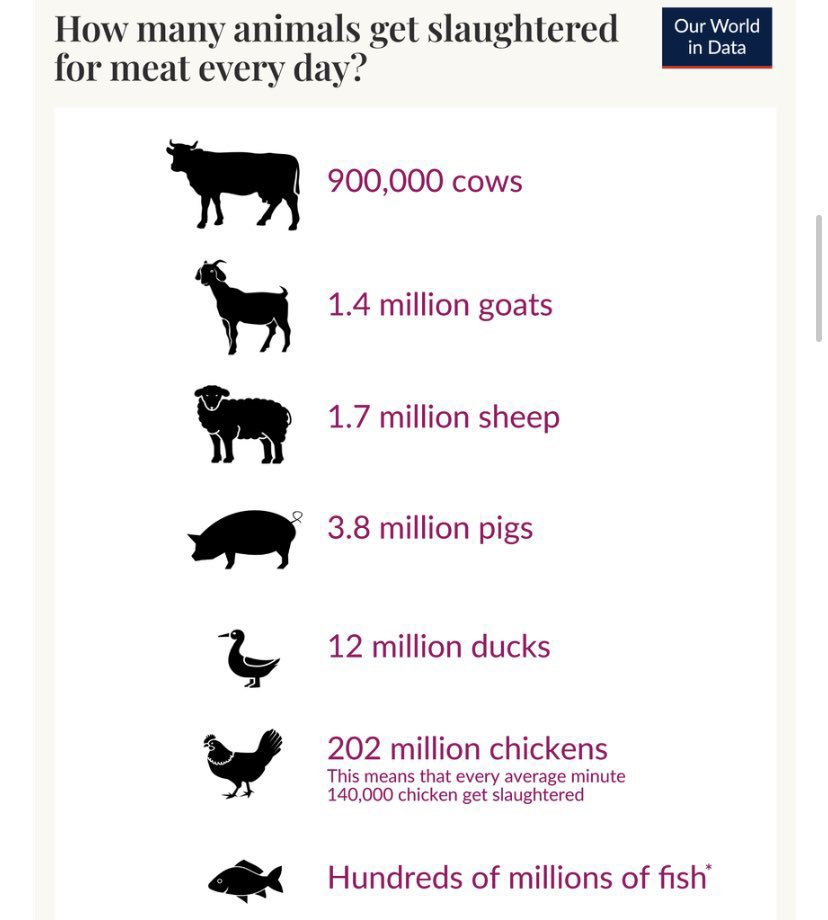 Bumper Crop tweet media