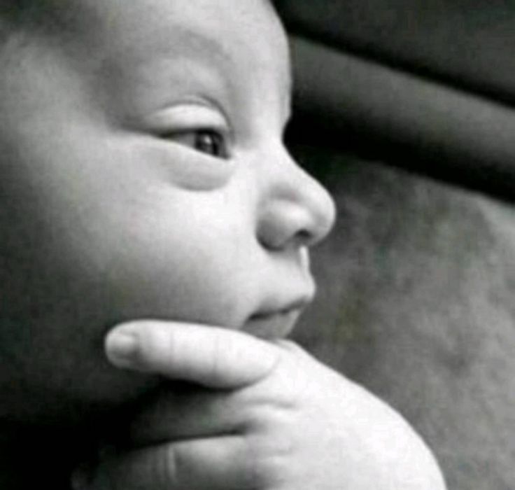 la makina tweet media